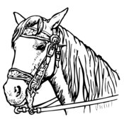 HORSE005