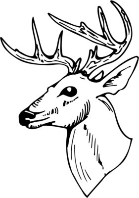 DEER018